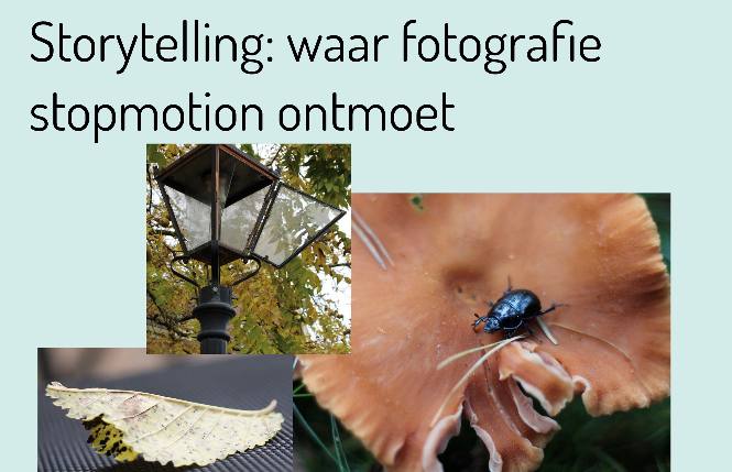 Waar fotografie stopmotion ontmoet